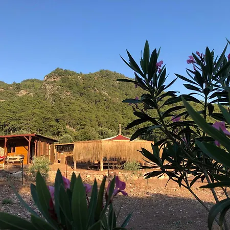 Medusa Kamp Campsite Ekincik