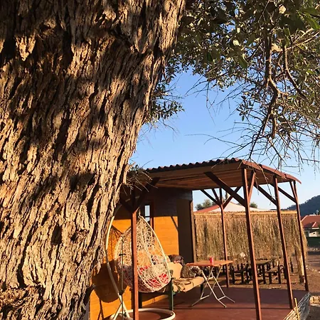 Campsite Medusa Kamp